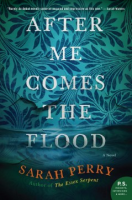 After_Me_Comes_The_Flood